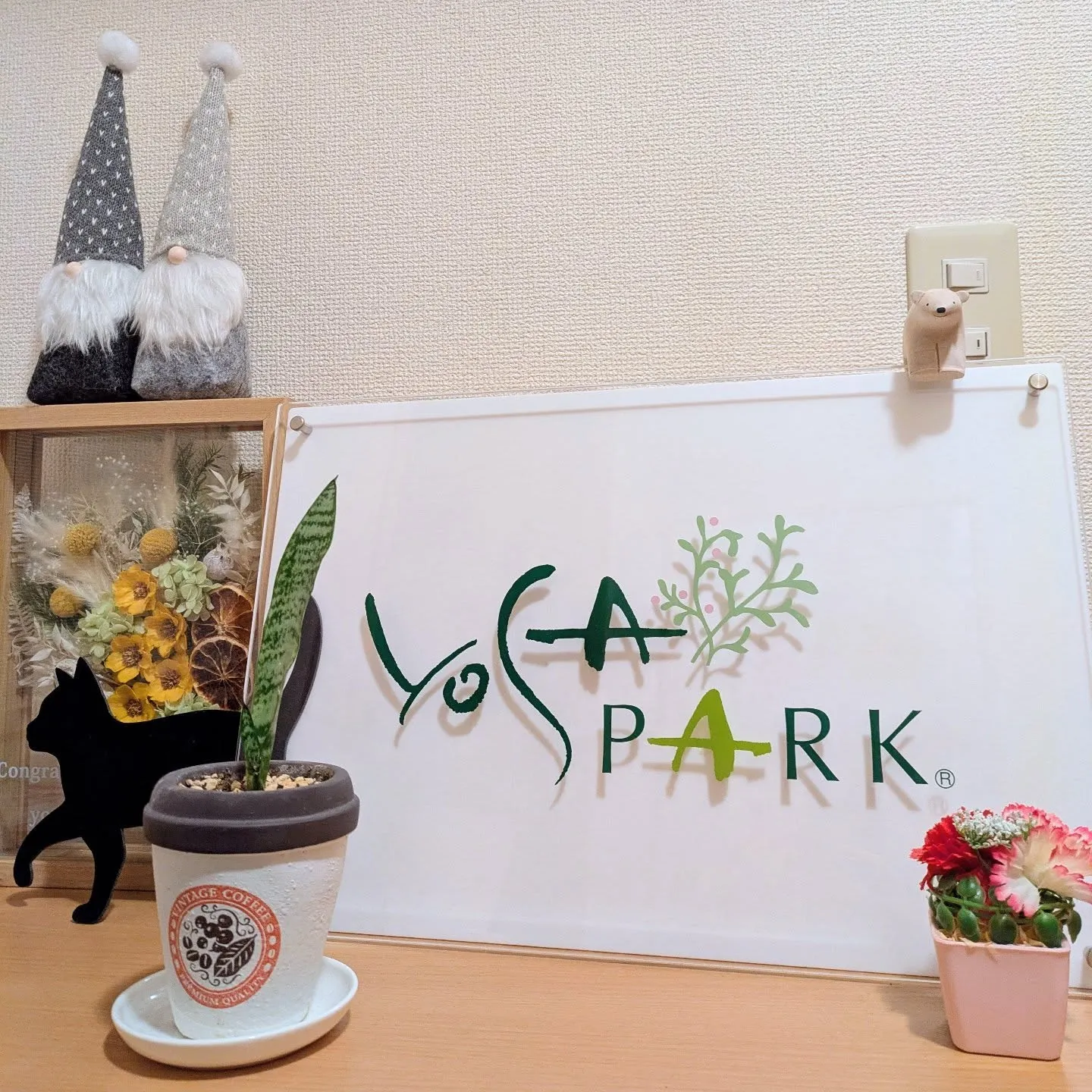5月は生憎のお天気でのスタートでしたね。